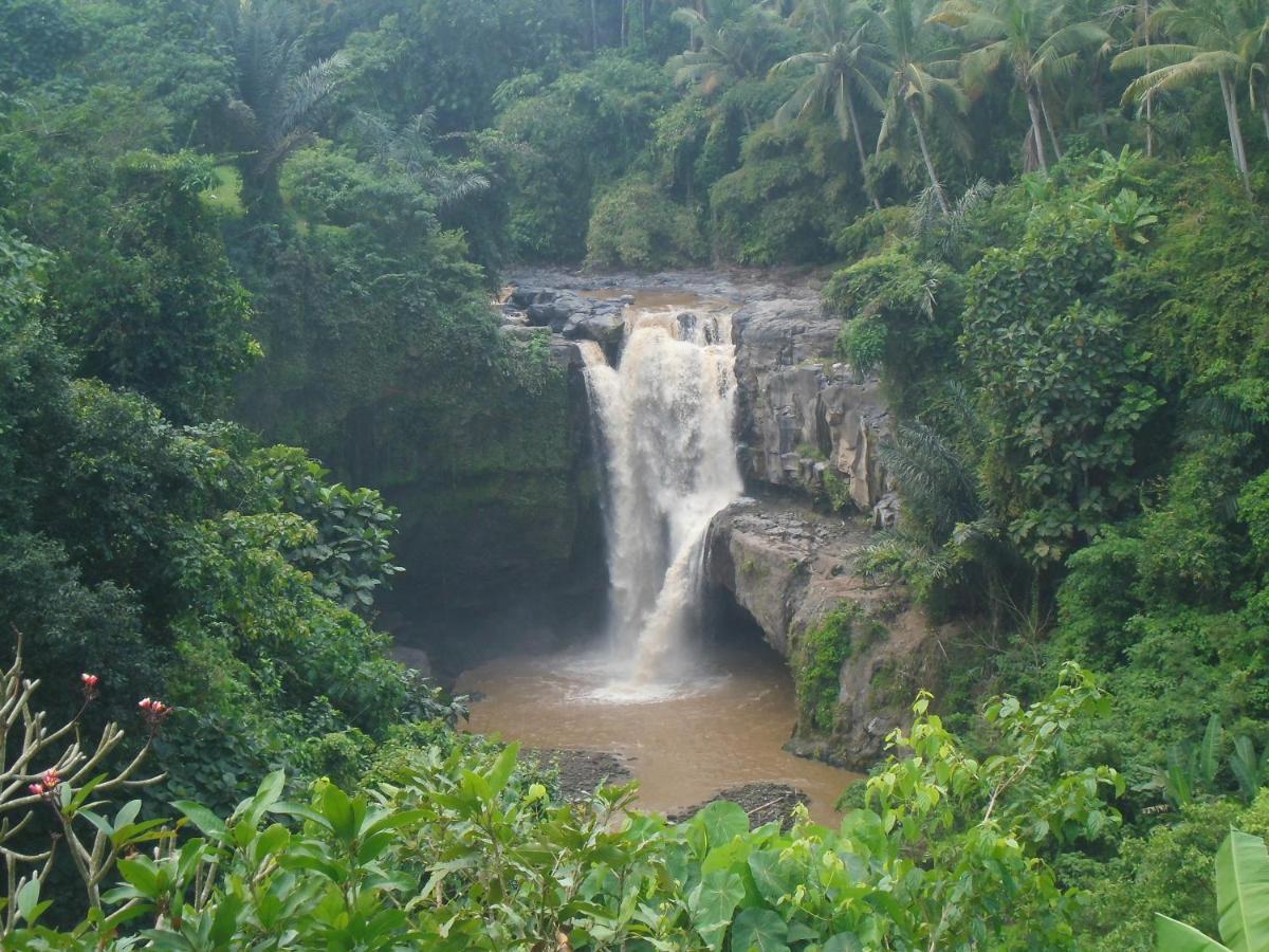 Waterfall Guest House Sukawati Esterno foto